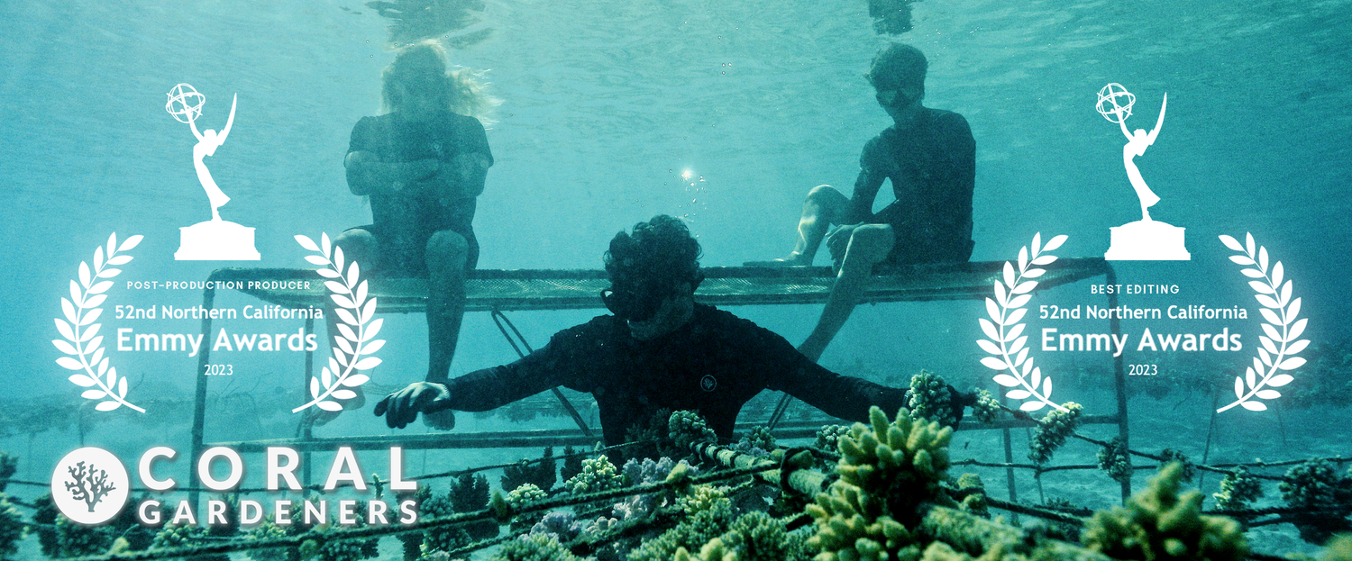 Back to the Wild: The Coral Gardeners — 52nd Northern California Emmy Awards